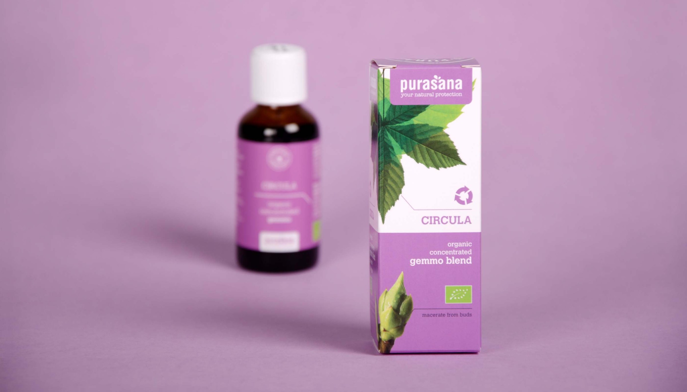 Purasana   &mdash;   Circula
